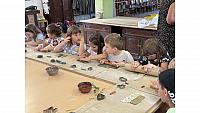 IMG 7974