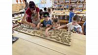 IMG 7988