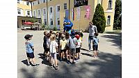 IMG 8011