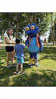 IMG 8018