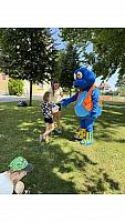 IMG 8019