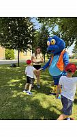IMG 8022