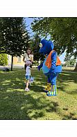 IMG 8045
