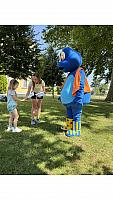IMG 8052