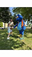 IMG 8054