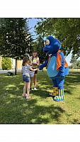 IMG 8059