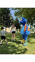 IMG 8063