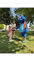 IMG 8068