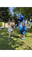 IMG 8086