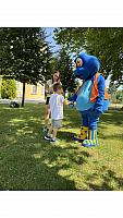 IMG 8113