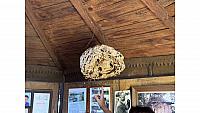 image00081
