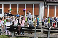 IMG 6642