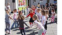 IMG 6500