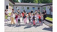 IMG 6508