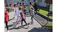 IMG 6517