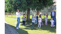 IMG 6524