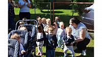 IMG 6526