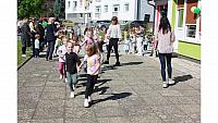 IMG 6530