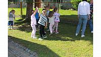 IMG 6535