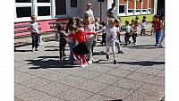 IMG 6537
