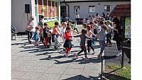 IMG 6540