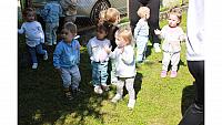 IMG 6541