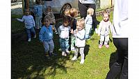 IMG 6542