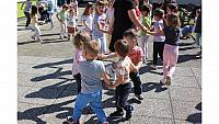 IMG 6550