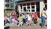 IMG 6558