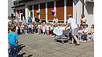IMG 6581