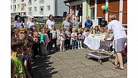 IMG 6582