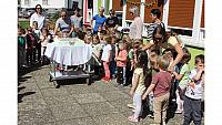 IMG 6589