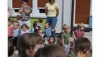 IMG 6603