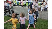 IMG 6637