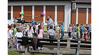 IMG 6642