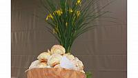IMG 6179