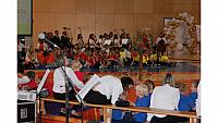 IMG 6291