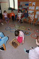 Gozdno-matematična igra (2)