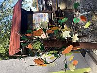 IMG 2843