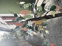 IMG 2845