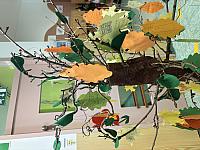 IMG 2850