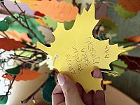 IMG 2852