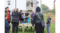 IMG 6955