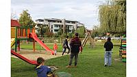 IMG 6980