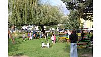 IMG 6981