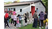 IMG 6987