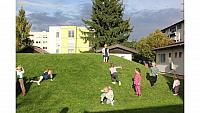 IMG 6991