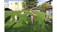 IMG 7003