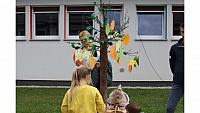IMG 7008