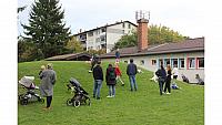 IMG 7009